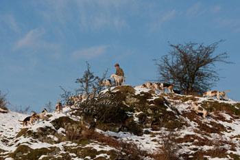 Photographs of Hunting Photographer Neil Salisbury Betty Fold Gallery